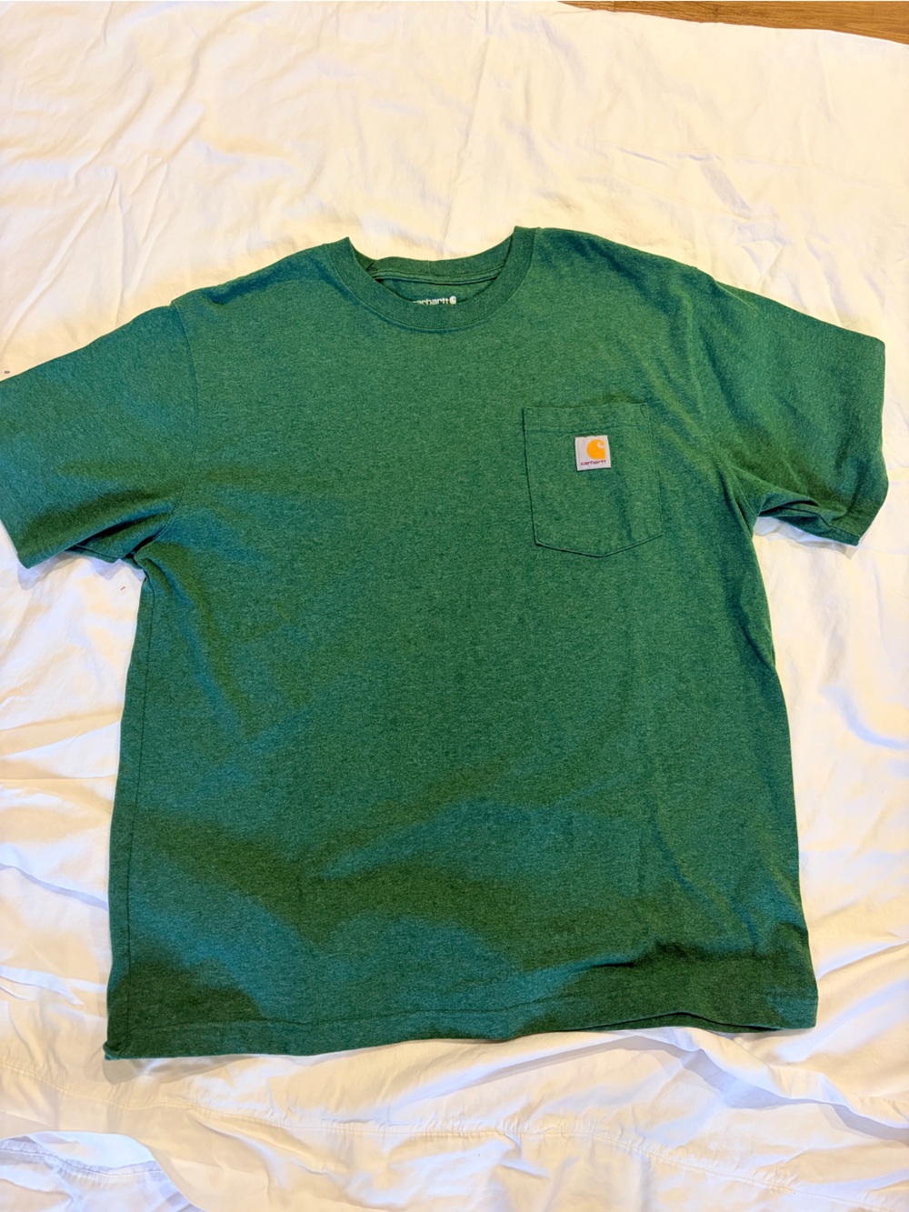 Carhartt Short Sleeve Pocket Tee in Green